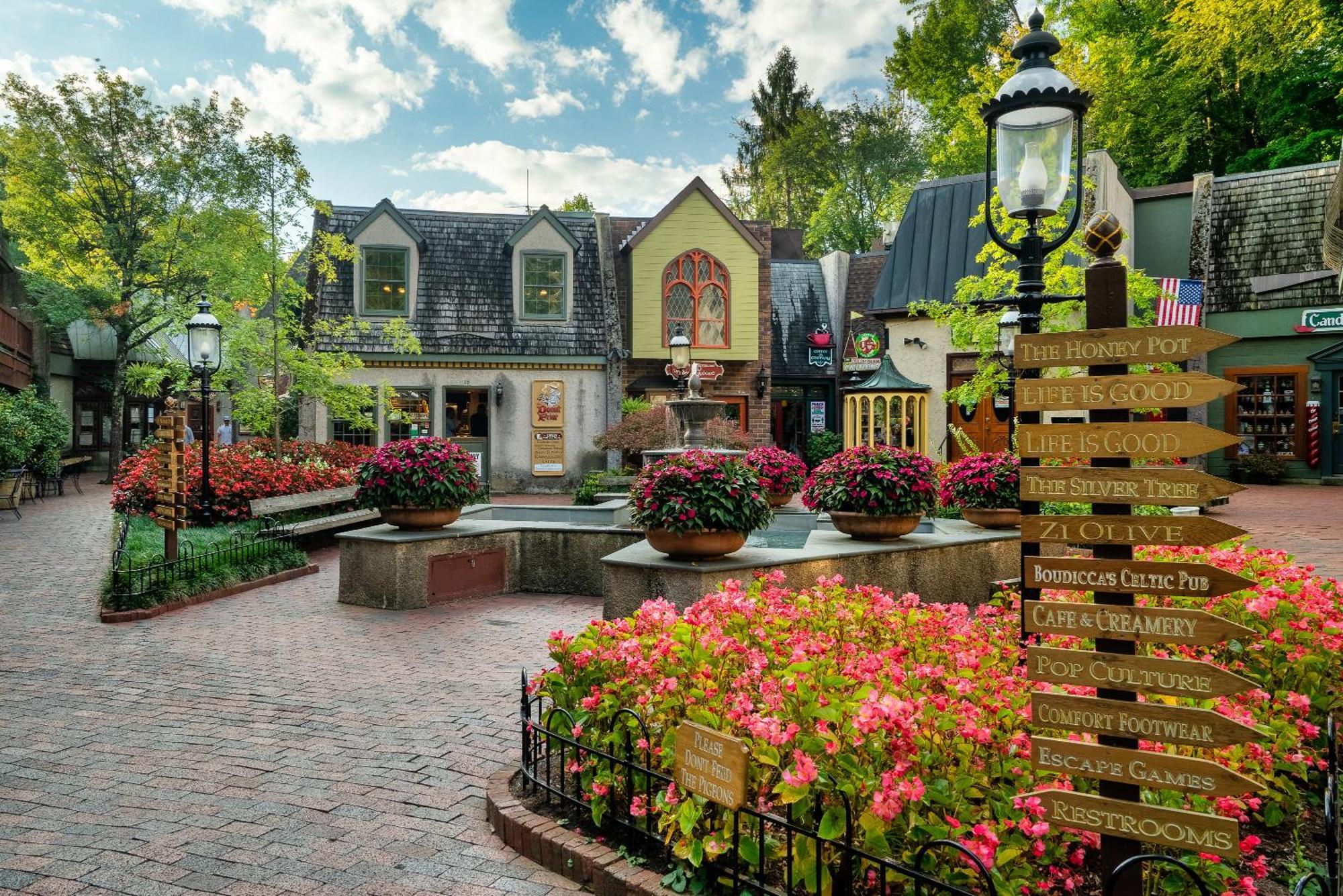 Villa Gatlinburg Mountain View Extérieur photo